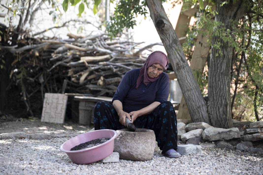 Tunceli'de köylüler dağlardan topluyor. Kilosu 400 liradan satılıyor 2